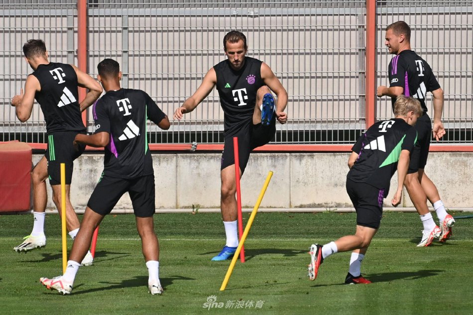 进行了不同 进行了不同