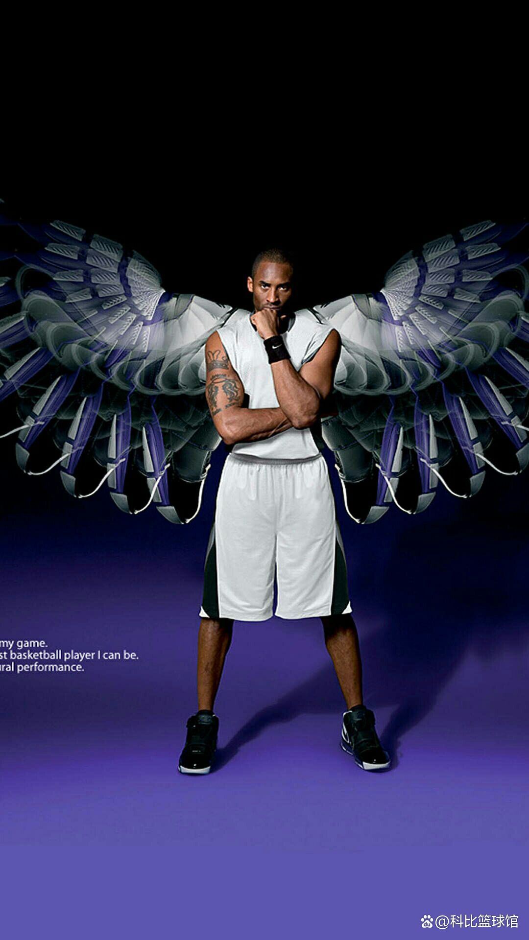 阵容的深度 阵容的深度